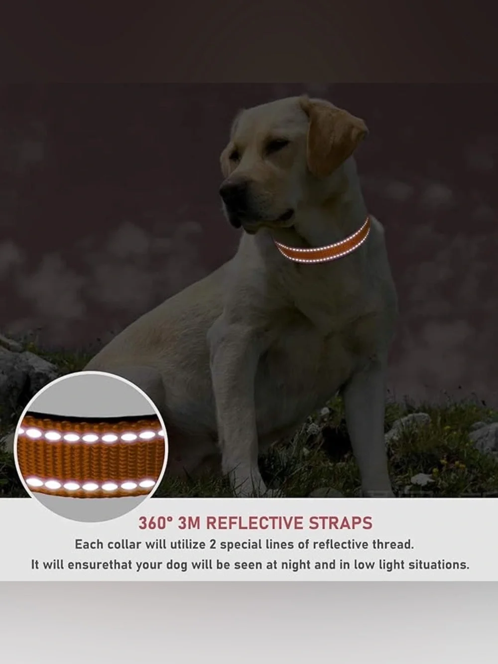 Joytale Reflective Nylon Dog Collar - Large - NWOT - Never Used